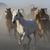 Denise E. Carson's profile image
