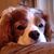 Lisa Baker's profile image