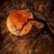 Cathy Bock's profile image
