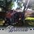 Juan Lazy Kaez Alvarez's profile image