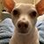 Lori Marvain's profile image