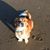Linda Bischof's profile image