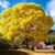 Lucia Moura Lagares Moura's profile image