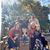 Dee Ann Yarborough Carter's profile image