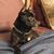 Alyson Brown's profile image
