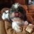 Rhonda Caudle's profile image