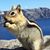 Connie Williams's profile image