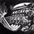 NJ Holzer Sr.'s profile image