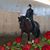 Carie Hagood Sciss's profile image