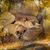 Tim Harrie's profile image