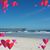 Janie Meeker's profile image