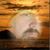 Nathan Armstrong's profile image