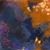 Pamela Collins Focarino's profile image