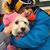 Reanna Breen Richner's profile image