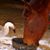 Chris Mucklow Meyer's profile image