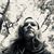 Kimberly Murphy's profile image