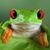 Bernice Walker's profile image