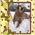 Dawn Flansburg's profile image
