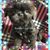 Joanie Castle Jernigan's profile image