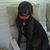 Kimberly Black's profile image