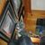 Lorraine Clement's profile image