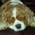 Kathi Mark Eastham's profile image