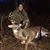 Mallory Liford's profile image