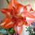 Lorrie Bergold's profile image