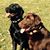 Patty Britton Stover's profile image