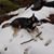 Diana Fenstermacher Ritchie's profile image
