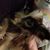 Patricia Grady Smith's profile image