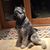 Michelle Sterk's profile image