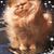 Debbie Camillo's profile image