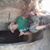 Kamal Oulida's profile image