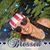 Colleen Sullivan's profile image