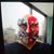 David J Brandenburg's profile image