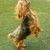 Sherry Ackerson's profile image