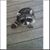 Kacie Husmann Schuster's profile image