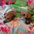 Lorie Nordmark List's profile image