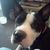Darlene Williams Zunic's profile image