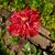 Terri Gantner's profile image