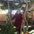 Patty Gomez's profile image