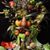 Deena Gerson's profile image