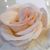 Lori Gregg's profile image