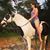 Arielle Herberger's profile image