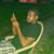 Brice Gentry's profile image