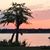 Kristi Upperman's profile image