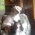 Paul Read's profile image