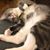 Stacie Stelk's profile image