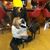 Tina Gaunt Brown's profile image